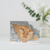 Orangefarbenes Weihnachten (Stehend Vorderseite)