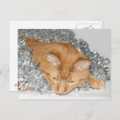 Orangefarbenes Weihnachten (Vorne/Hinten)