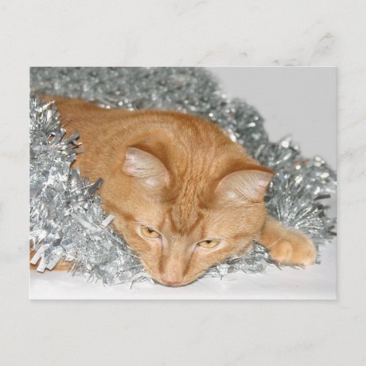 Orangefarbenes Weihnachten (Vorderseite)