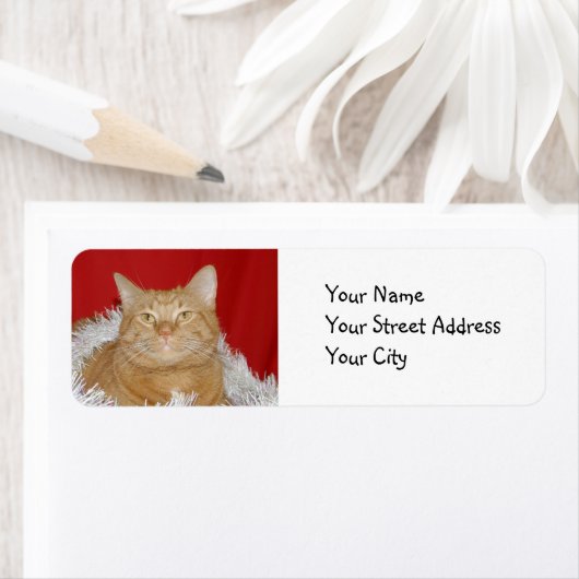 Orangefarbenes Weihnachten (Insitu)