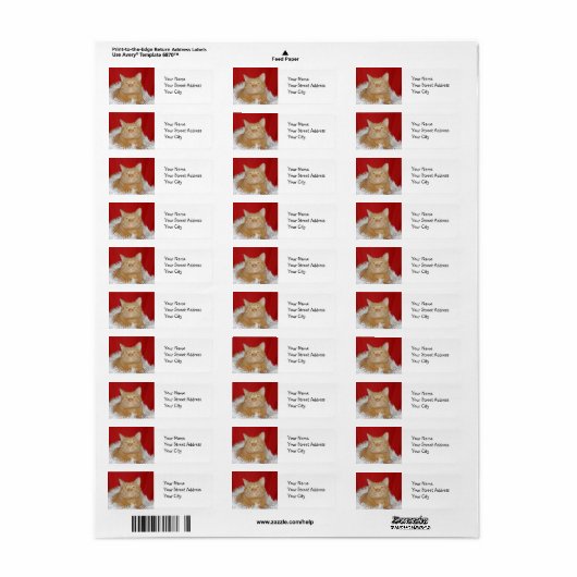 Orangefarbenes Weihnachten (Vorne)