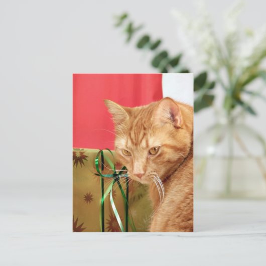 Orangefarbenes Weihnachten (Stehend Vorderseite)