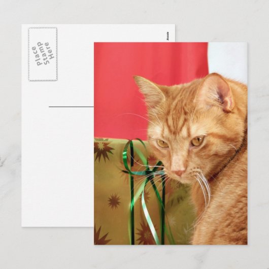 Orangefarbenes Weihnachten (Vorne/Hinten)