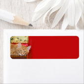 Orangefarbenes Weihnachtsfest (Insitu)