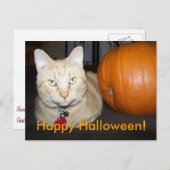Orangefatze mit Pumpkin Postkarte (Vorne/Hinten)