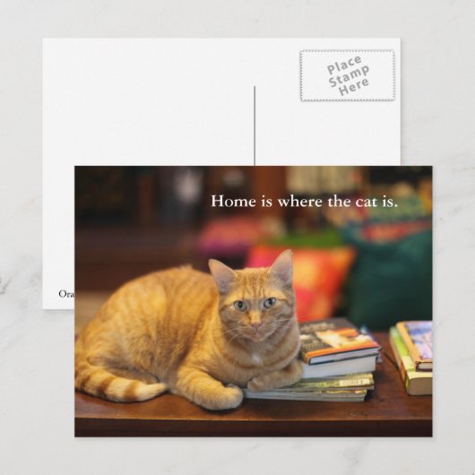 Orangefatze Postkarte (Vorne/Hinten)