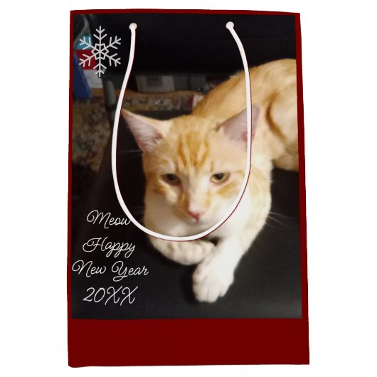 Orangekatzen-Foto-Text Anpassen Mittlere Geschenktüte (Vorderseite)