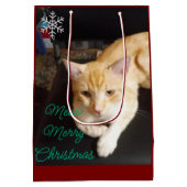 Orangekatzen-Foto-Text Anpassen Mittlere Geschenktüte (Rückseite)