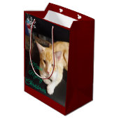 Orangekatzen-Foto-Text Anpassen Mittlere Geschenktüte (Rückseite Schrägansicht)
