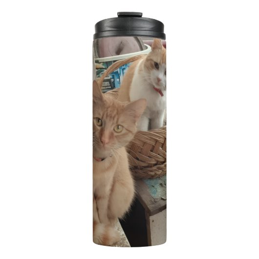 Orangekatzenfoto Thermosbecher (Vorderseite)