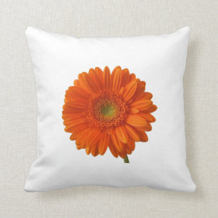 Orangekissen mit Gänseblümchen Kissen