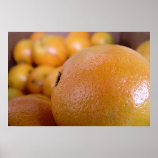 Orangen 2 poster (Vorne)