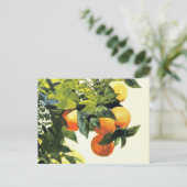 Orangen an der Zweigstelle Winslow Homer Kunsthand Postkarte (Stehend Vorderseite)