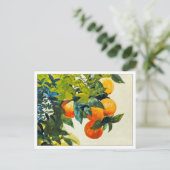 Orangen an einer Zweigstelle von Winslow Homer Postkarte (Stehend Vorderseite)