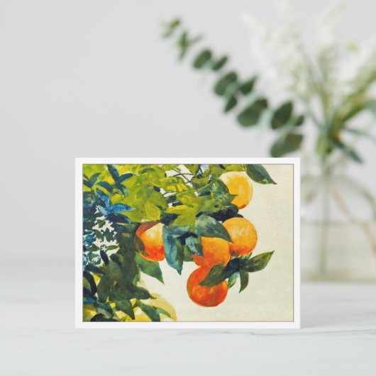 Orangen an einer Zweigstelle von Winslow Homer Postkarte (Stehend Vorderseite)