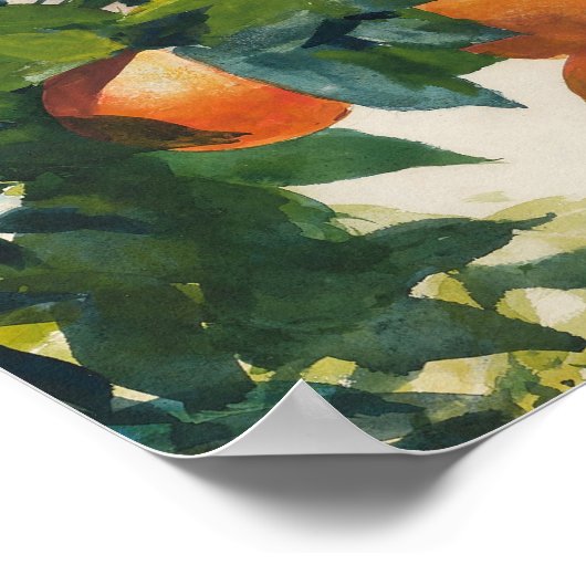 Orangen an einer Zweigstelle | Winslow Homer Poster (Ecke)