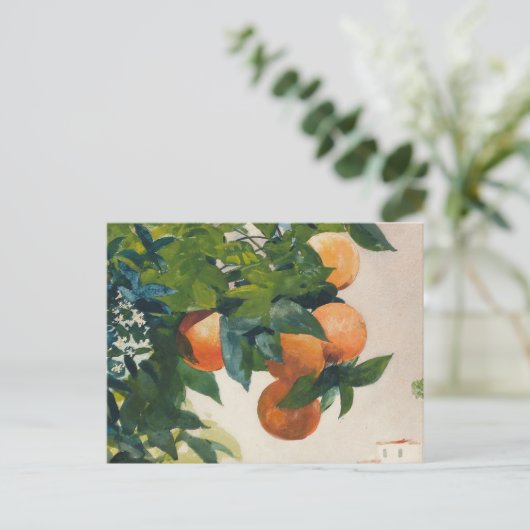 Orangen an einer Zweigstelle | Winslow Homer Postkarte (Stehend Vorderseite)