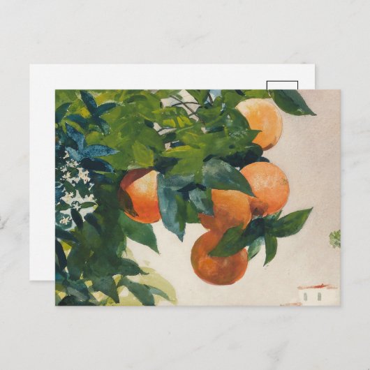 Orangen an einer Zweigstelle | Winslow Homer Postkarte (Vorne/Hinten)