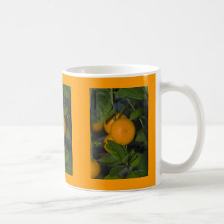 Orangen auf dem Baum Kaffeetasse