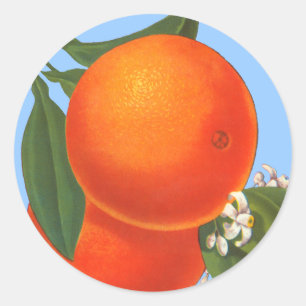 Orangen auf der Blue Vintag Crate Art Aufkleber