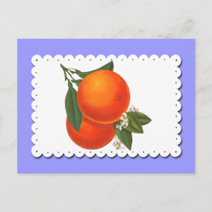 Orangen auf Häkeldeckchen Vintage-Kisten-Postkarte Postkarte