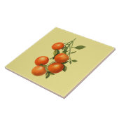 Orangen ~ Botanische Tile ~ Küche ~ Farbe ~ Fliese (Seite)