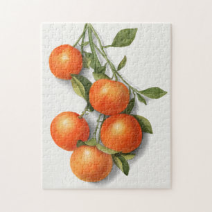Orangen (Calamondin) Aquarellmalerei von Früchten Puzzle
