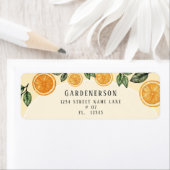 Orangen Citrus Frucht Rücksendeadresse (Insitu)