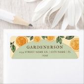 Orangen Citrus Frucht Rücksendeadresse (Insitu)