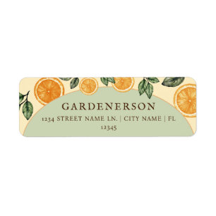 Orangen Citrus Frucht Rücksendeadresse