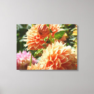 Orangen-Dahlien-Blumen-Leinwand-Fotodrucke Leinwanddruck
