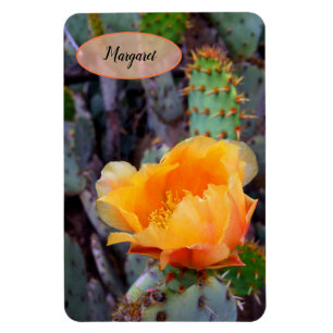 Orangen Feigenkaktus Opuntia Kaktusblüten Foto Magnet