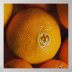 Orangen / Feinschmecker Küchenplakat Poster