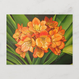 Orangen-Fleurs Postkarte