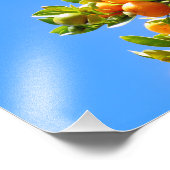 Orangen Fotodruck (Ecke)