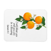 Orangen Frucht Genesis 12:2 Magnet (Horizontal)