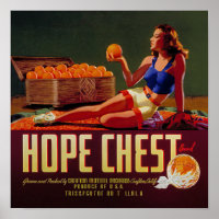 Orangen-Fruchtkennzeichnung für Vintage Hope