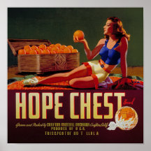 Orangen-Fruchtkennzeichnung für Vintage Hope