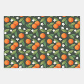 Orangen, grüne Blätter und Muster der weißen Blume (Vorderseite 2)