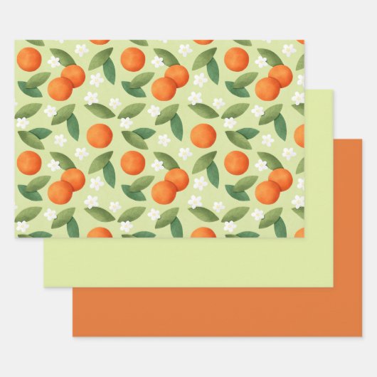 Orangen, grüne Blätter und Muster der weißen Blume (Set)