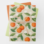 Orangen, grüne Blätter und Muster der weißen Blume (Beispiel)