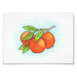 Orangen Illustration Foto Print