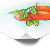 Orangen Illustration Foto Print (Ecke)
