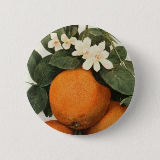 ORANGEN-Knopf Button (Vorderseite)