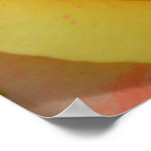 Orangen "n" Zitronen-Rose nah Poster (Ecke)