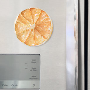 Orangen Obst Magnet
