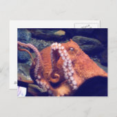 Orangen-Octopus-Foto Postkarte (Vorne/Hinten)