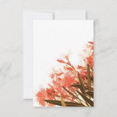 Orangen-Oleander-Blumen-Blumenskript-Hochzeit Dankeskarte (Rückseite)