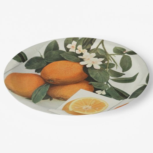 ORANGEN-Pappteller Pappteller (Schrägansicht)