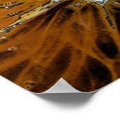 ORANGEN POSTER (Ecke)